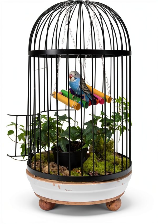 SunGrow Parrot Cage Hammock Swing Wooden Metal Chain 1 Piece-2