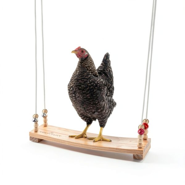 Chicken Swing Toy Hipykat Coop Accessory 16inch Hardwood Swing for-1
