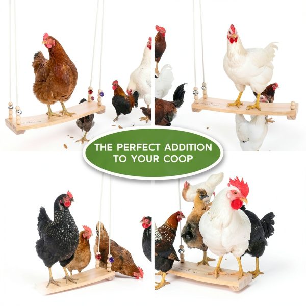 Chicken Swing Toy Hipykat Coop Accessory 16inch Hardwood Swing for-6
