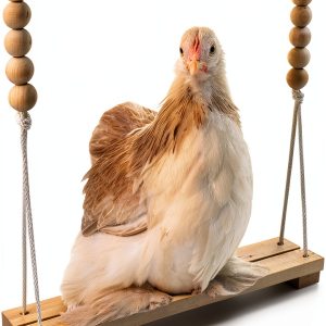Chicken Swing Toy Backyard Barnyard Bird Swing Handmade Wood Perch-0