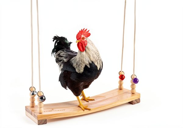 Chicken Swing Toy Hipykat Coop Accessory 16inch Hardwood Swing for-2