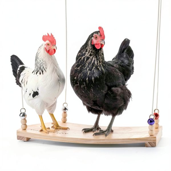 Chicken Swing Toy Hipykat Coop Accessory 16inch Hardwood Swing for-4