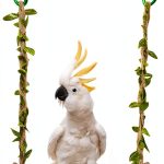 Bird Swing Stand KeaJuidy Rattan Rope Perch 7.9x7.1 Inch-0
