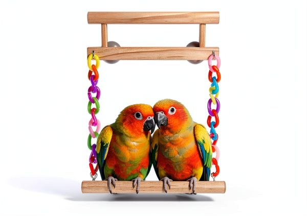 Kyouki Bird Perch Swing Dual Level Natural Wood Play Gym for Parrots-2