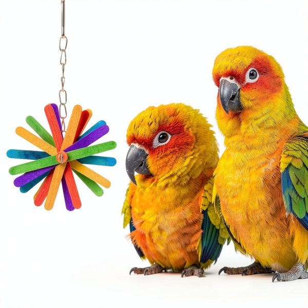 Bird Toys 5PCS Set for Parrots by AFUOWER Natural Wood Shredding Toys-3