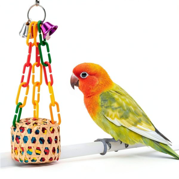 Bird Toys 5PCS Set for Parrots by AFUOWER Natural Wood Shredding Toys-2