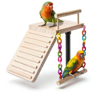 Kyouki Bird Perch Swing Dual Level Natural Wood Play Gym for Parrots-0