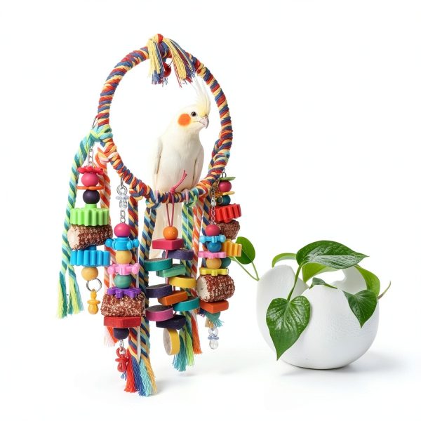 Bird Toys YIXUND Ring Swing with Corn Cob, Bagels & Blocks – 6.7in-5