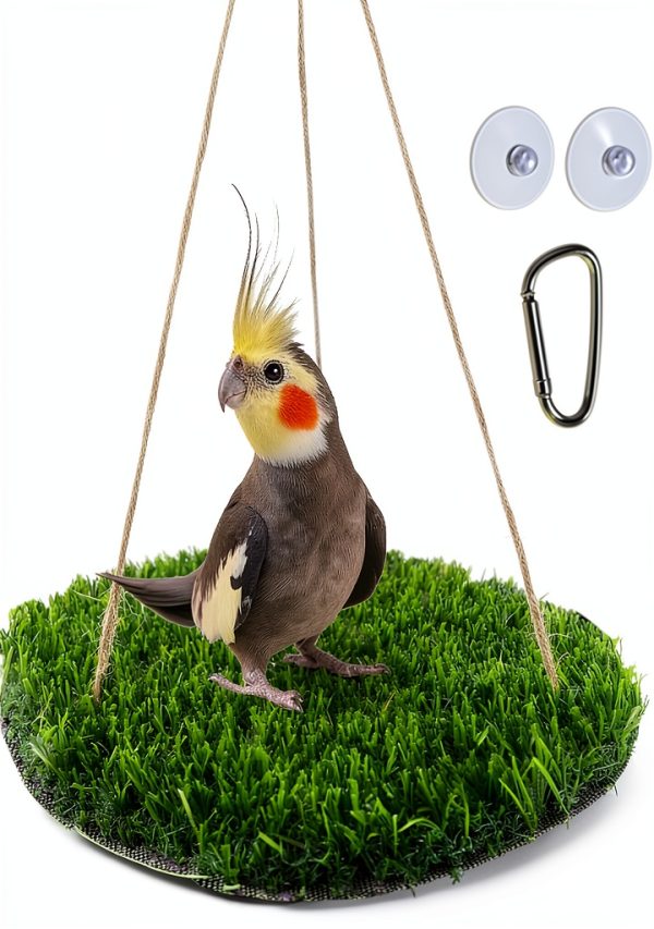 FlidRunest Large Bird Foraging Mat with Natural Grass Hammock Swing-2
