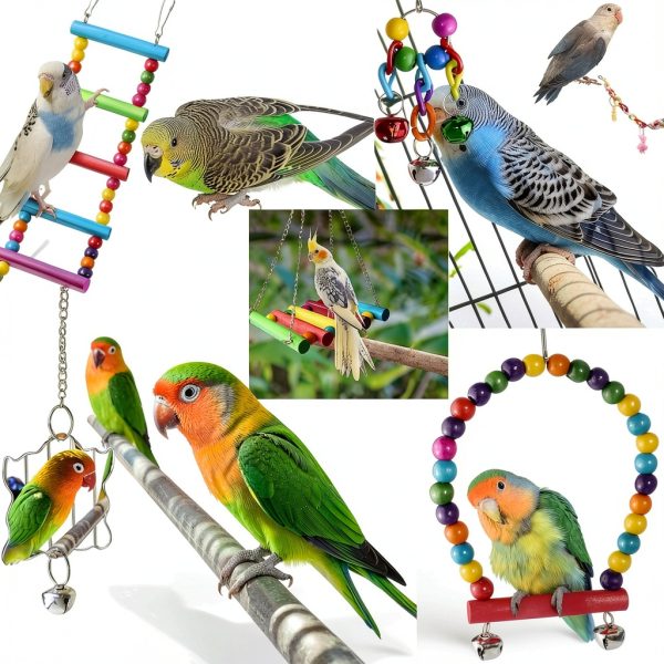Bird Parakeet Cockatiel Toys by ESRISE Swings and Climbing Ladders Set-2