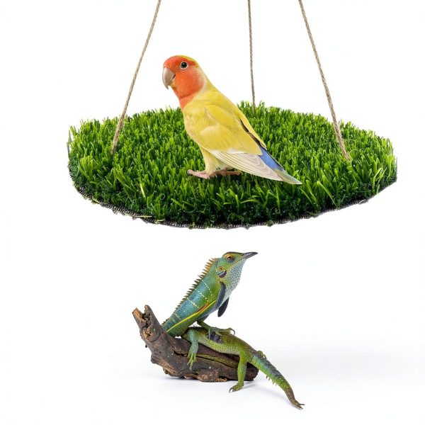 FlidRunest Large Bird Foraging Mat with Natural Grass Hammock Swing-5